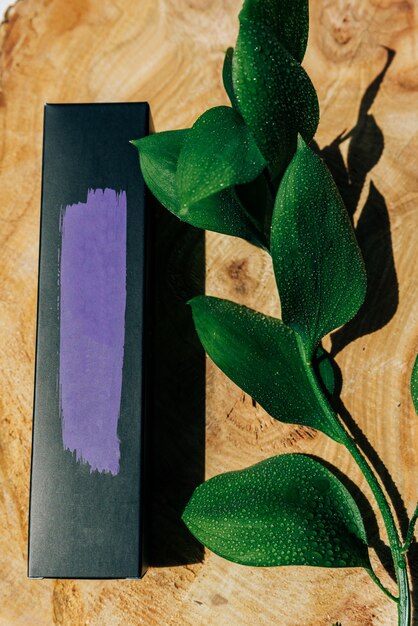 A close-up shot of a sleek, minimalist product packaging design. The packaging features a recognizable logo and a color scheme that aligns with the brand's identity. Soft, natural lighting highlights the quality and attention to detail in the design.