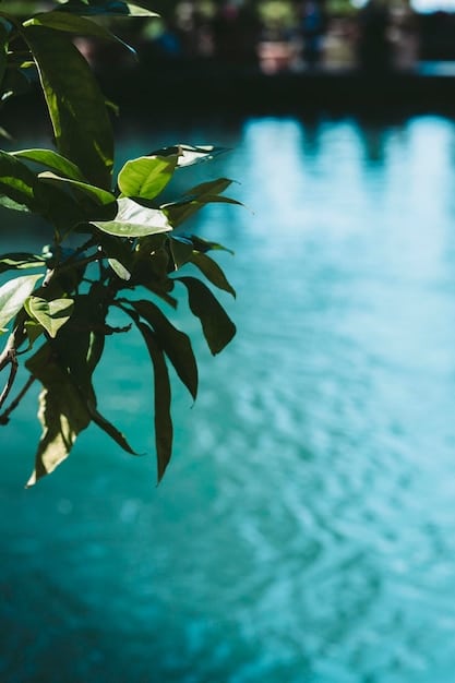 A close-up of a sparkling infinity pool overlooking a lush green landscape. The pool reflects the clear blue sky, creating a serene and luxurious atmosphere.