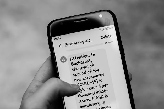 A close-up of a smartphone screen displaying a leaked direct message, with blurred text but clearly showing the Instagram interface.